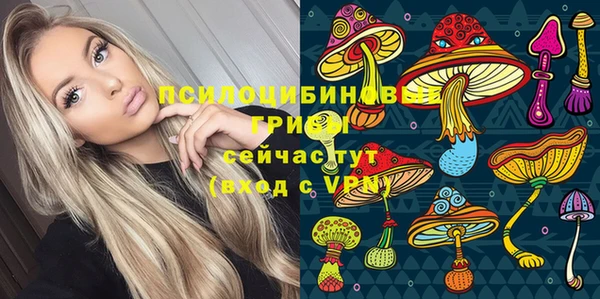 спайс Богданович