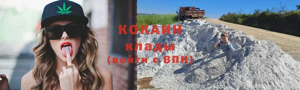 спайс Богданович