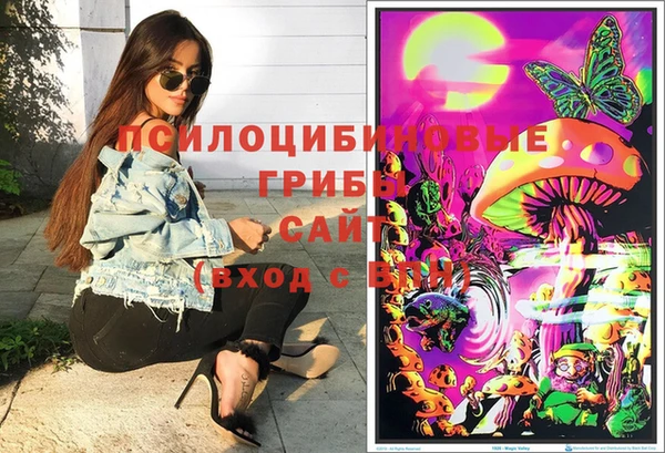 спайс Богданович