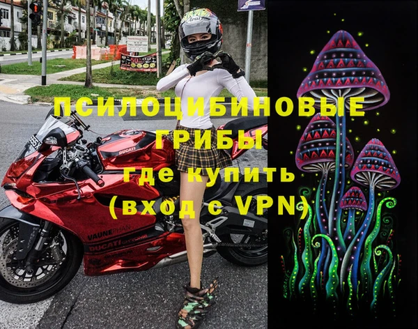 спайс Богданович