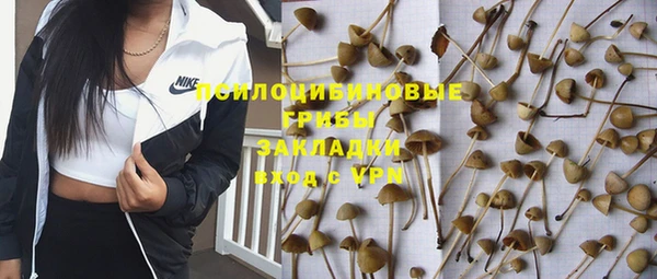 спайс Богданович