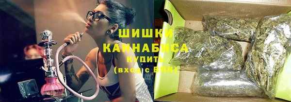 спайс Богданович