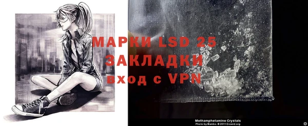 спайс Богданович