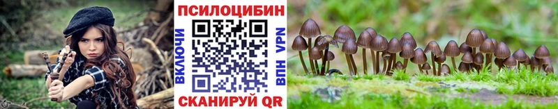 хочу   Кореновск  Галлюциногенные грибы Cubensis 